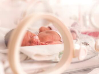 A baby sleeping in an incubator bed in the hospital.
